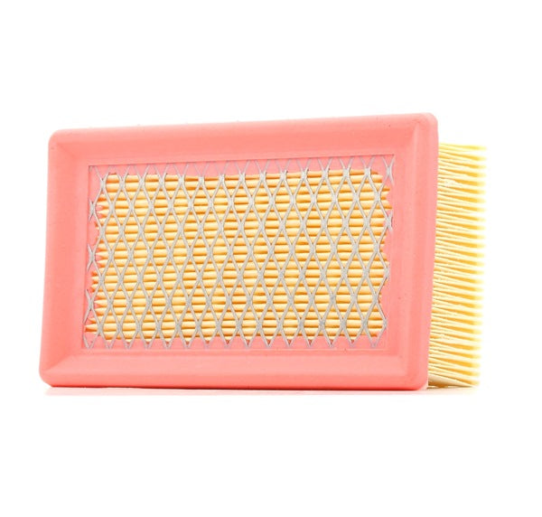 Filtro De Aire Para Hércules RP1100B / Woodster PC13, PC11 Placa - Foto 12